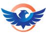Net Solutions